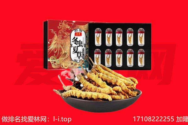 晋中寿阳县回收虫草.jpg